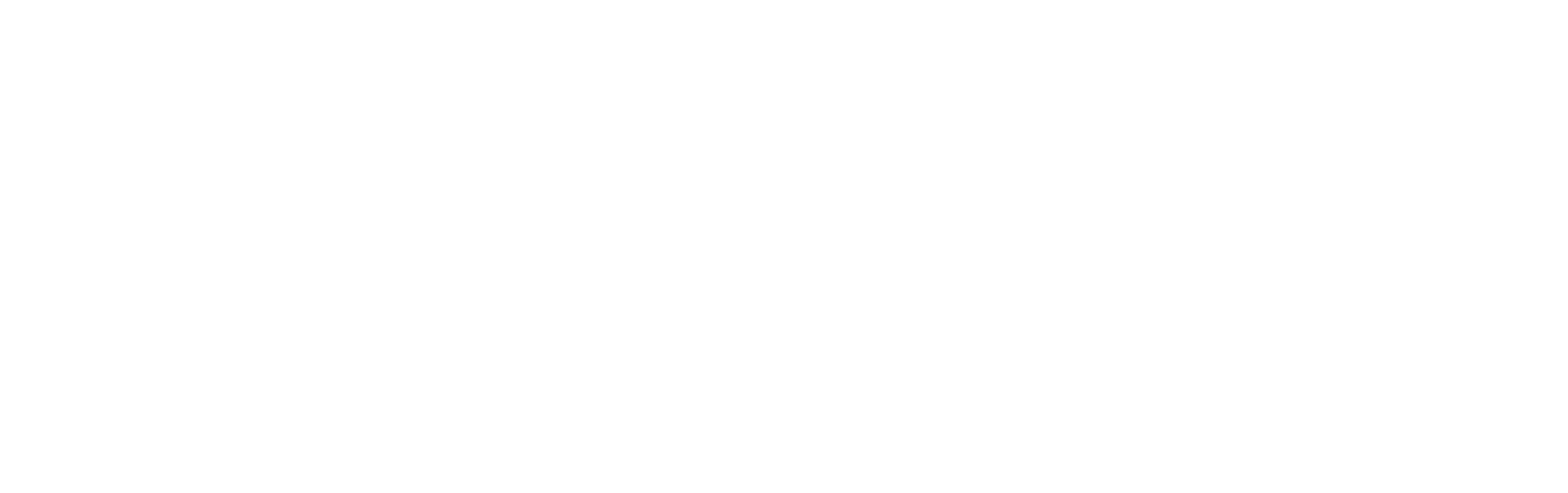 Apartments & Zimmer